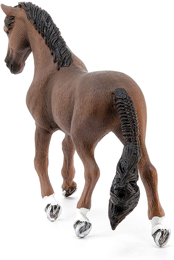 CABALLO TRAKEHNER