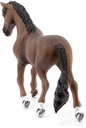 CABALLO TRAKEHNER