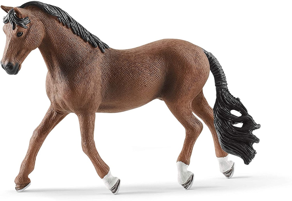 CABALLO TRAKEHNER