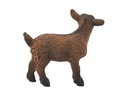 CABRITILLO