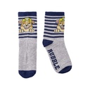 CALCETINES PAW PATROL T.23/26