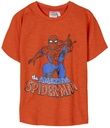 CAMISETA M/C.SPIDERMAN NAR.T5