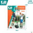 CANASTA BALONCESTO C/BALON
