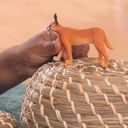 CARACAL HEMBRA