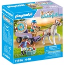 CARRUAJE CON PONI