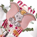 CEPILLO CABELLO DUMBO