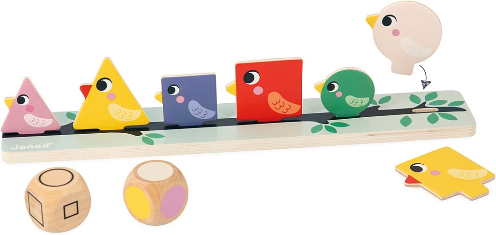 CLASIFICACION PAJAROS
