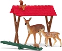 COMIDA ANIMALES DEL BOSQUE