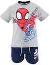 CONJUNTO SPIDEY GRIS T.2