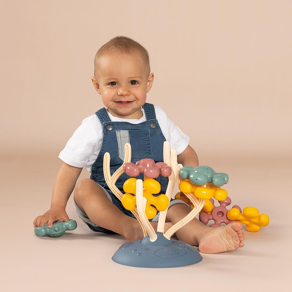 CORAL ACTIVIDADES SMOBY