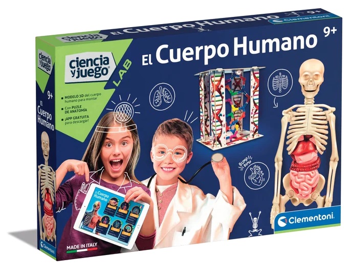 CUERPO HUMANO