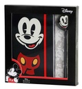 DIARIO+BOLI MICKEY