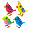DIGIBIRDS PACK 1