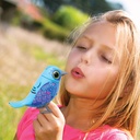 DIGIBIRDS PACK 1