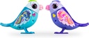 DIGIBIRDS PACK 2+CASITA