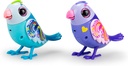 DIGIBIRDS PACK 2+CASITA