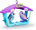 DIGIBIRDS PACK 2+CASITA