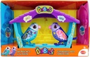 DIGIBIRDS PACK 2+CASITA