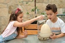 DINO EGG 20 CM.