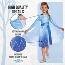 DISFRAZ FROZEN 2 ELSA T.5/6