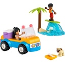 DIVERTIDO BUGGY PLAYERO