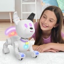DOG-E
