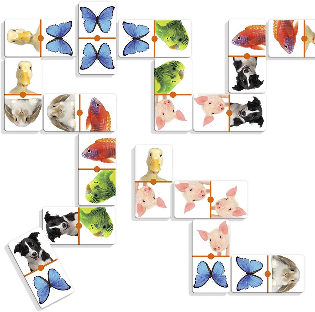 DOMINO PHOTO ANIMALS