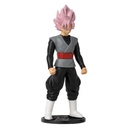 DRAGON BALL FLASH-GOKU BLACK R