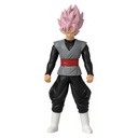 DRAGON BALL FLASH-GOKU BLACK R