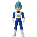 DRAGON BALL FLASH-SSB VEGETA