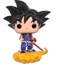 DRAGON BALL-POP GOKU & FL.N.