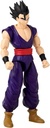 DRAGON STARS-GOHAN