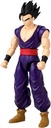 DRAGON STARS-GOHAN