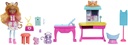 ENCHANTIMALS CLINICA CARLIN CAT