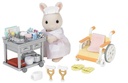 ENFERMERIA COUNTRY SYLVANIAN