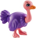 FAMILIA OFELIA OSTRICH