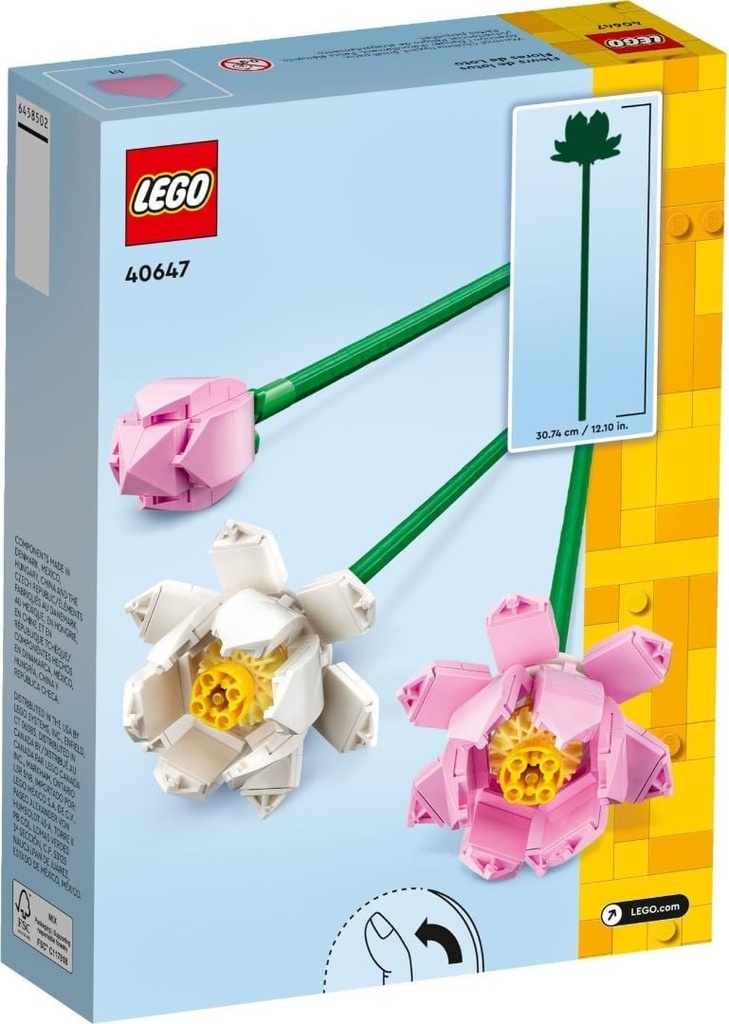 FLORES DE LOTO