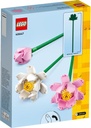 FLORES DE LOTO