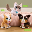FURREAL WALK-A-LOTS BERNED.