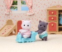 GEMELOS GATO PERSA SYLVANIAN