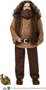 HARRY POTTER-RUBEUS HAGRID