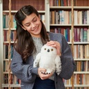 HEDWIG INTERACTIVO