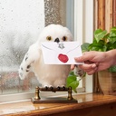 HEDWIG INTERACTIVO