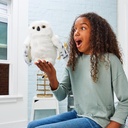 HEDWIG INTERACTIVO