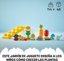 HUERTO ORGANICO
