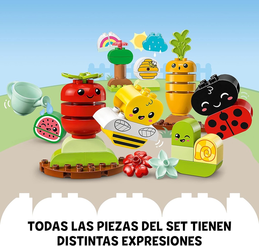 HUERTO ORGANICO