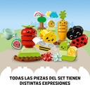 HUERTO ORGANICO