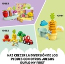 HUERTO ORGANICO