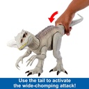 J.W. INDOMINUS REX CAM.Y CONQ.