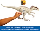J.W. INDOMINUS REX CAM.Y CONQ.